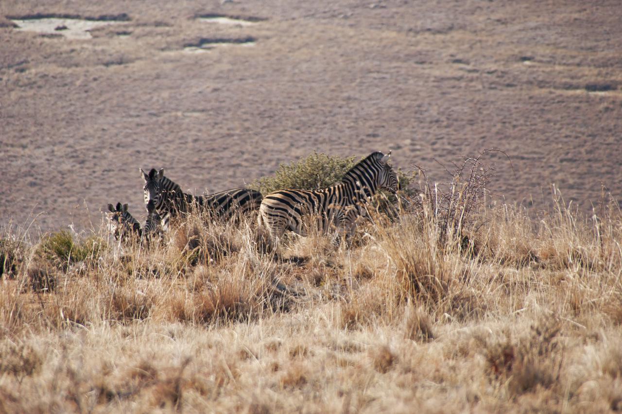 De Ark Mountain Lodge Clarens Exterior foto